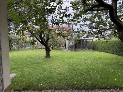 Gemeinschaftsgarten - 
