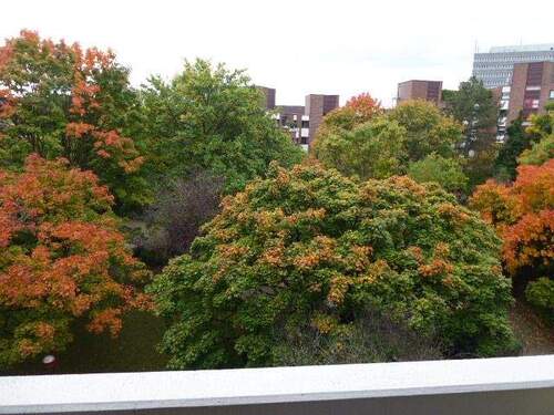 Aussicht - 