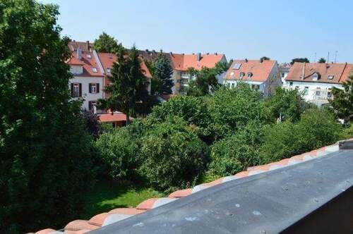 Ausblick ins Grüne - 