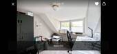 Bild 11 - 