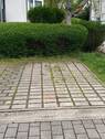 IMG_8923.jpeg - 