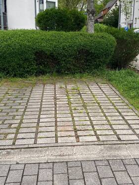 IMG_8923.jpeg - 