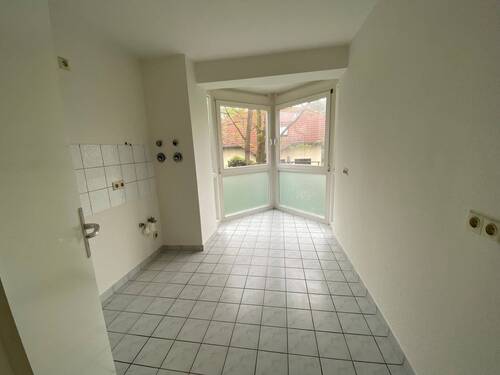IMG_8896.jpeg - 