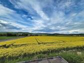 Panoramablick - 