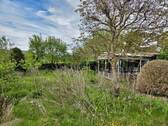Gartenimpressionen - 