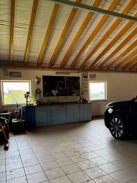 IMG_0215.jpeg - 