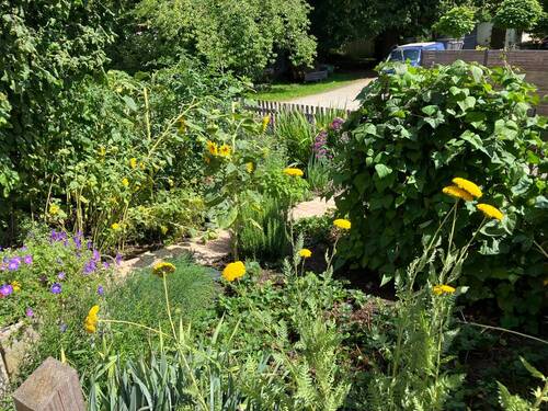 Bauerngarten vor dem Haus - 