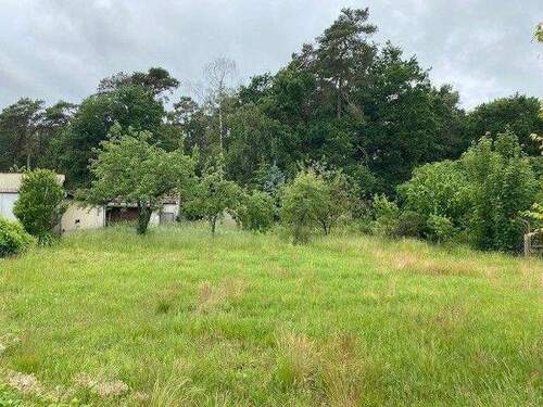 Blick ins Grundstück.jpg - Baugrundstück in ruhiger Waldrandlage - Ihr Traum vom Eigenheim beginnt hier!