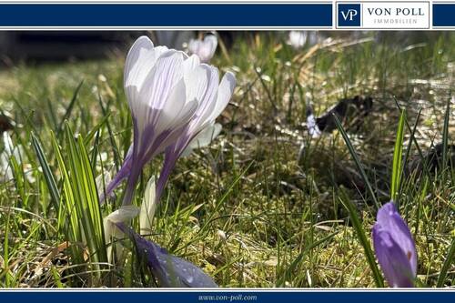 Titel 1 - Bester Grund zum Bauen: Schönes Grundstück wartet auf Sie und Ihre Ideen!