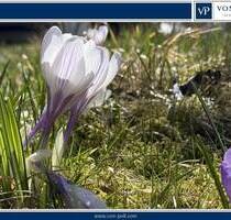 Bester Grund zum Bauen: Schönes Grundstück wartet auf Sie und Ihre Ideen! - Berlin-Pankow Buch