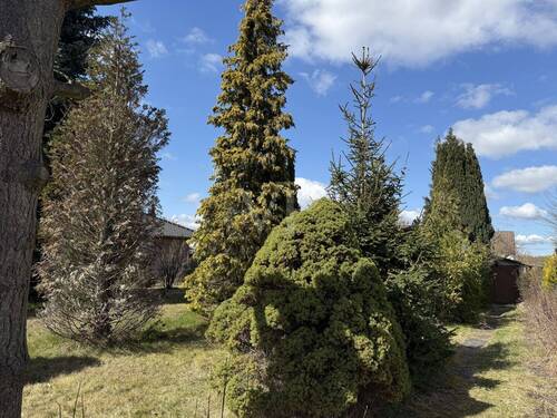 straßenseitige Ansicht - Grundstück in Berlin-Pankow zum Kaufen