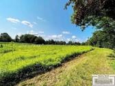Impression Forst Kasten - 