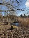 Teich - 