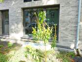 Bild 15 - 