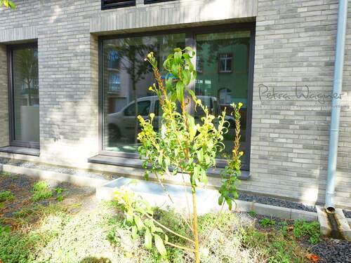 Bild 15 - 