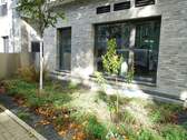 Bild 16 - 