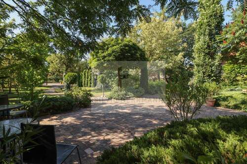 Blick zur Grundstückseinfahrt - 