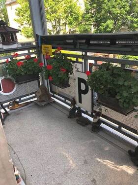 Balkon - Etagenwohnung in Dresden zum Kaufen