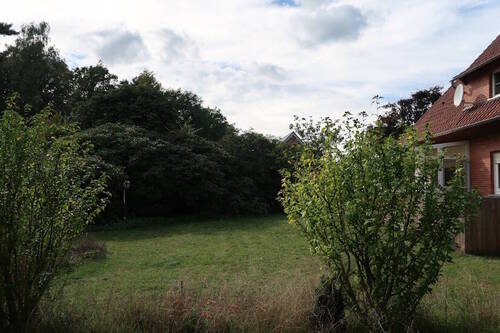 Garten Südseite - 