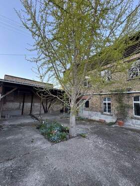 Hinterhaus mit Hof/Garten - 