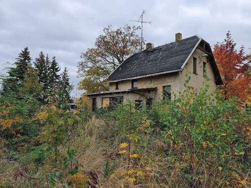 Gartenseite.jpg - Grundstück in Leipzig zum Kaufen