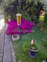 Bild 10 - 