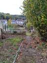 Blick Haus in den Garten - 