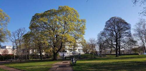 ...mit Abenteuerspielplatz - 