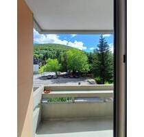 Provisionsfrei für Käufer: freies, teilmöbliertes + sonniges Südbalkon-Apartment mit Lift - Bad Harzburg