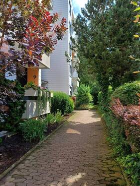 Weg zum Hauseingang - 