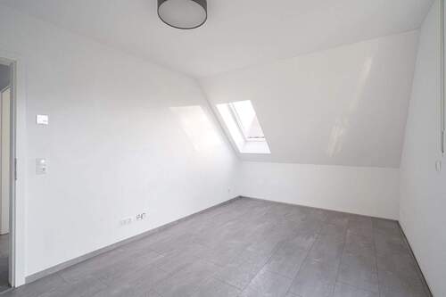 Zimmer1.1 - 