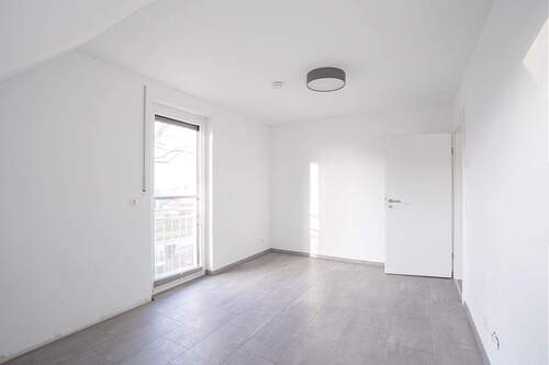 Zimmer1.2 - 