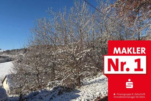 Grundstücksansicht - Randlage! Baugrundstück in Bad Berleburg-Diedenshausen