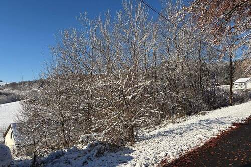 Grundstücksansicht - Grundstück zum Kaufen in Bad Berleburg