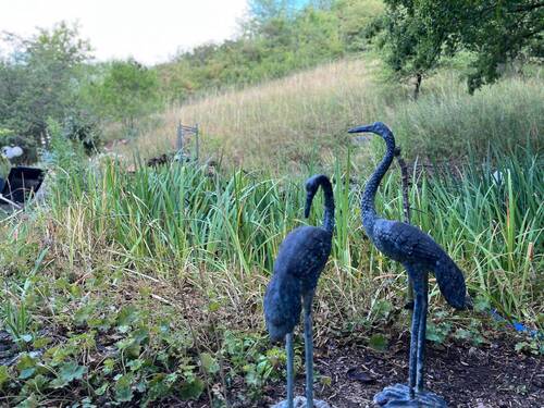 Gartenimpressionen 1 - 