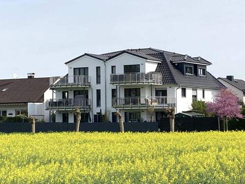 Ansicht zum Feld - 2 Zimmer Etagenwohnung zur Miete in Okriftel