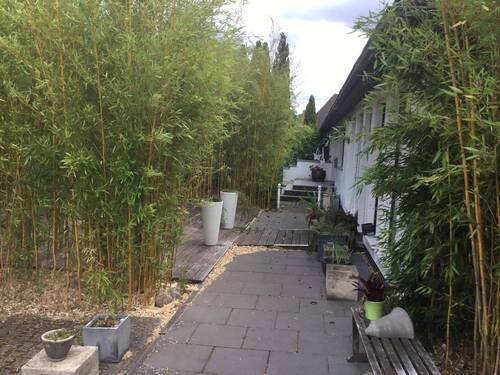 Zuwegung Hausbereich - 