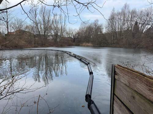 Angrenzender Teich - 