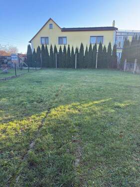 PHOTO-2026-01-07-10-50-08 - 