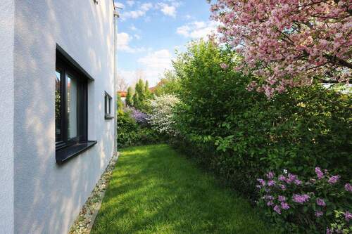 Seitenansicht (saisolanle Anpassung durch KI) - 