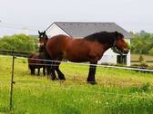 Bild 15 - 