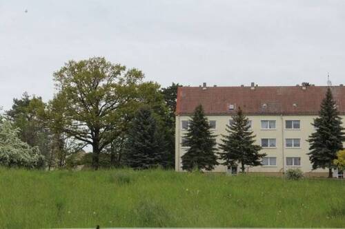 Naturnahe Außenansicht - MFH mit Potenzial in Altenburg, Nähe Herrenhaus in Grünlage mit vielen Stellplätzen