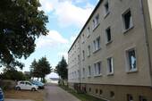 Rückwärtige Fassade mit Kellereingang - Mehrfamilienhaus, Wohnhaus in Altenburg