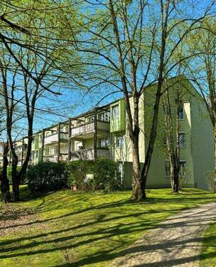 gepflegte Aussenanlage - 
