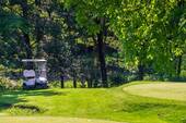 Golfmobil - 
