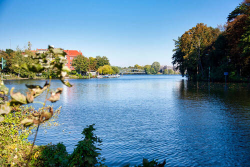 Havel - 
