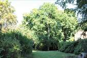 Impressionen aus der Parkanlage - 