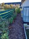 Beeren Strauche - Bungalow mit 100,00 m² in Grimmen zum Kaufen