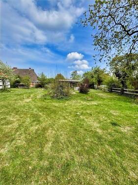 Blick in den Garten - 