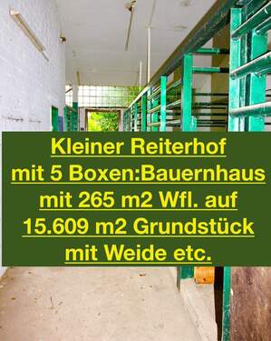 der kleine Reiterhof - 9 Zimmer Mehrfamilienhaus, Wohnhaus zum Kaufen in Hasloh